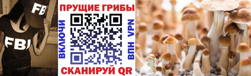 Галлюциногенные грибы мухоморы mega зеркало Камбарка сколько стоит